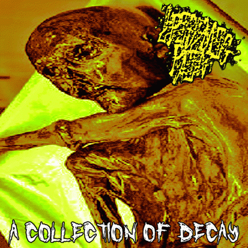 Epidemic Pain : Collection of Decay